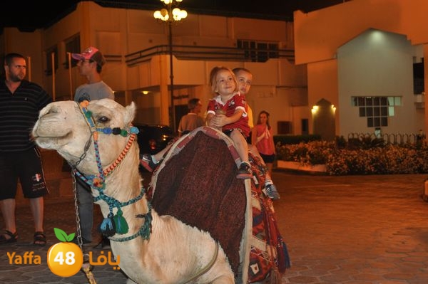 re7latsharmn422 (57).JPG